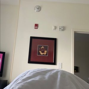 Meet your Posher, Maggie rose